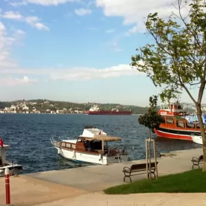 Beykoz Parke ustası