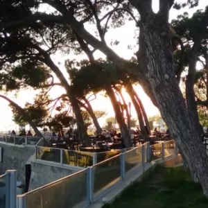 İstanbul Çamlık Bölgesinde Ustalar