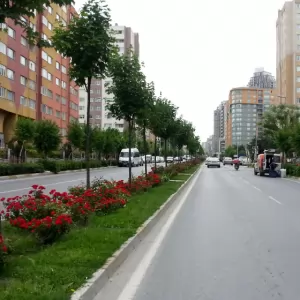 İstanbul Güzelyurt Bölgesinde Ustalar