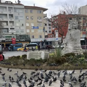 Kartal Parke ustası