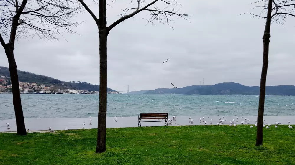 İstanbul Kireçburnu Usta