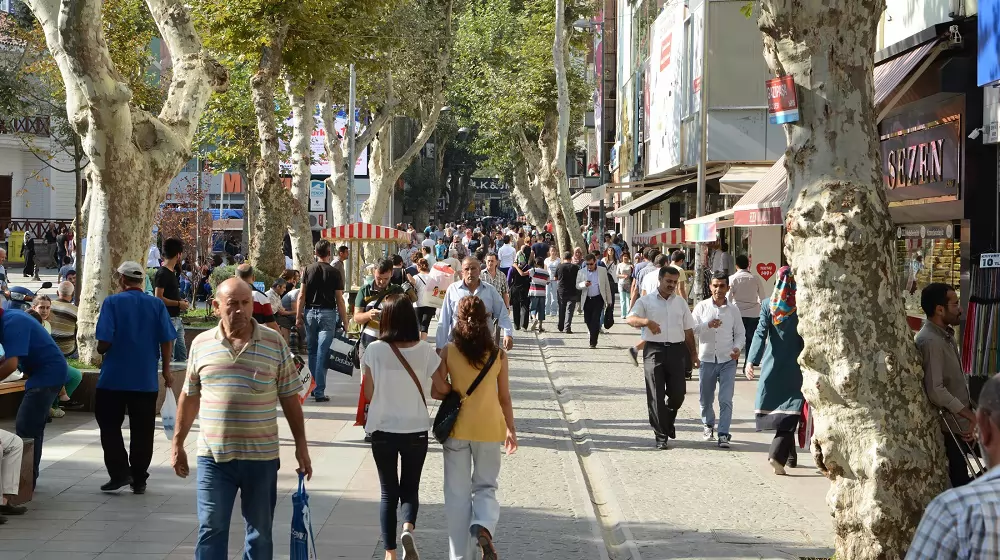 İstanbul Pendik Usta