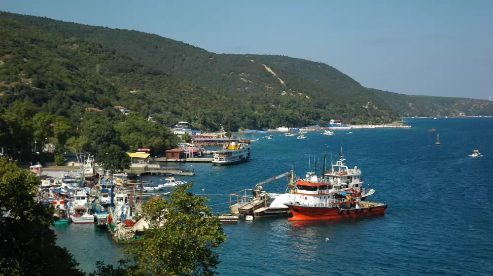 İstanbul Rumelikavağı Usta